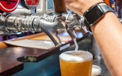 Settlers_Tavern_Food_OBJ886853 Person pouring a pint of beer from a tap at a bar, with a watch on their wrist, surrounded by various beer labels.