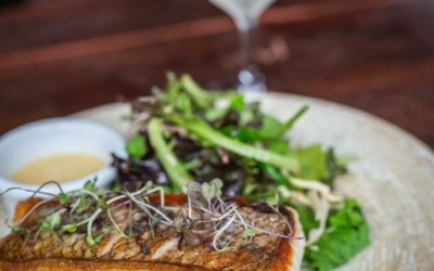 Settlers_Tavern_Food_OBJ887248 A plate of grilled fish on a bed of mashed potatoes with a side salad and dressing, accompanied by a glass of white wine.