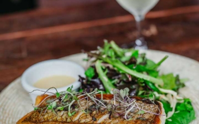 Settlers_Tavern_Food_OBJ887249 A plate with grilled fish on mashed potatoes, topped with microgreens, accompanied by a side salad and a glass of white wine.
